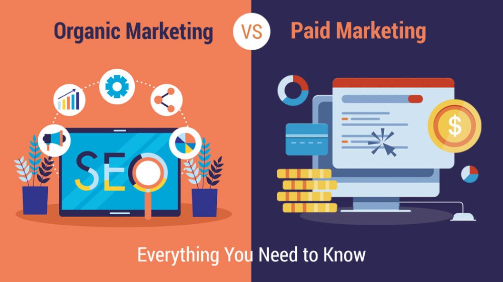 Organic vs Paid Marketing